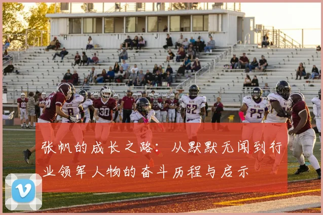 张帆的成长之路：从默默无闻到行业领军人物的奋斗历程与启示